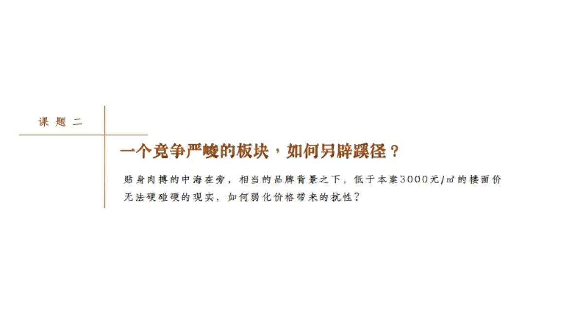 2022三湾公园项目广告提案方案_第4页