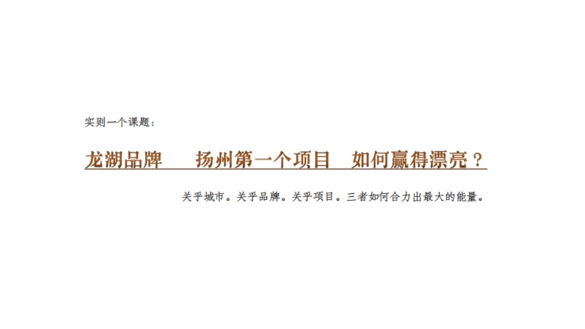 2022三湾公园项目广告提案方案_第6页
