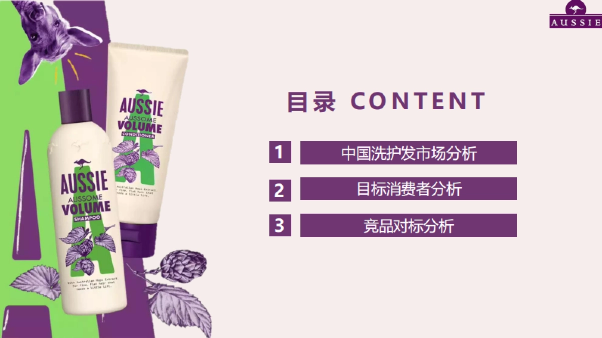 AUSSIE丰盈洗发水竞品分析_第2页