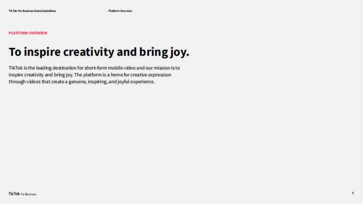 TIKTOK品牌手册_第3页