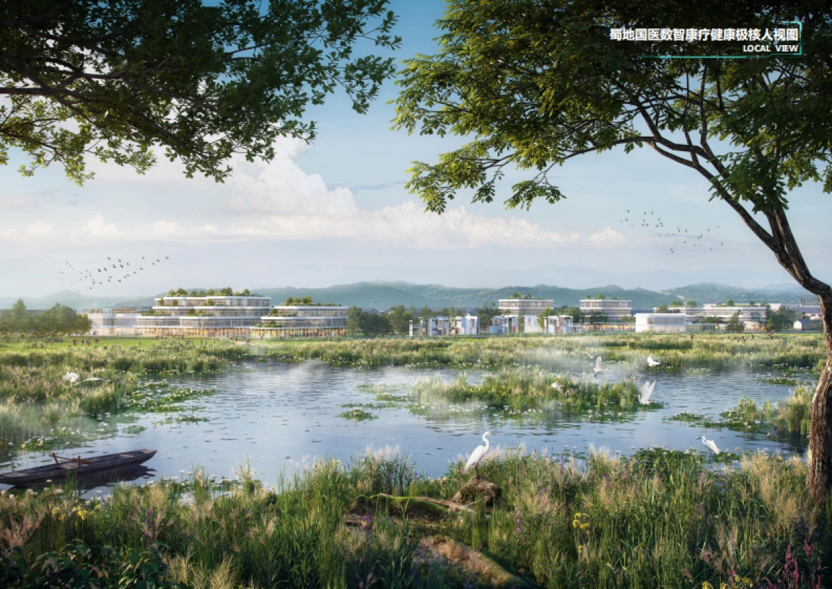 崇州国医特色小镇总体规划设计方案_第5页