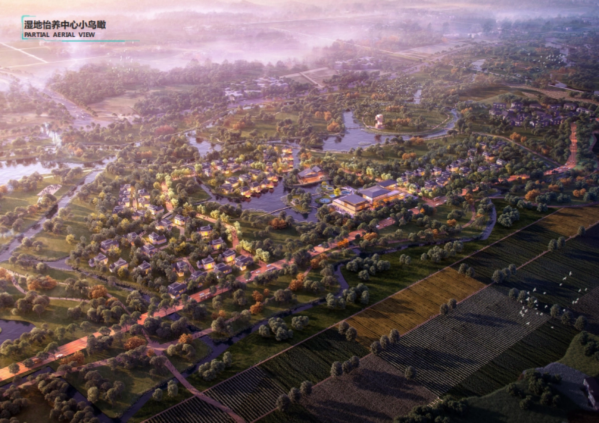 崇州国医特色小镇总体规划设计方案_第6页