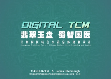 崇州国医特色小镇总体规划设计方案