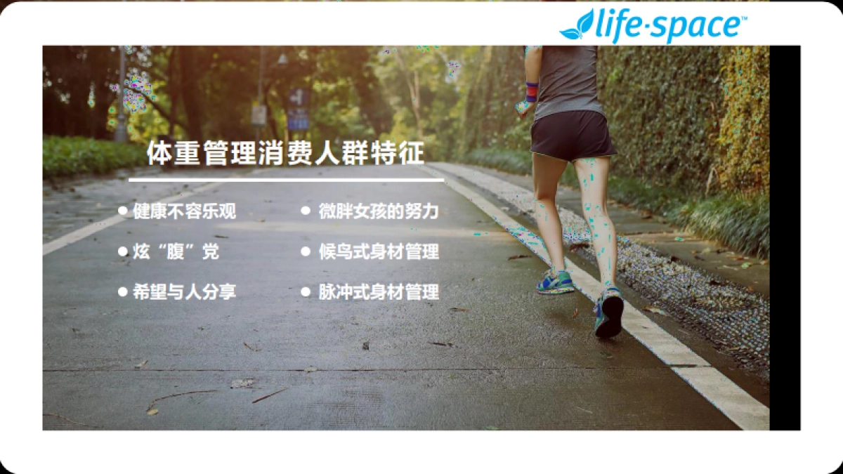 跨境体重管理潜力单品打造案例-脱敏版_第8页