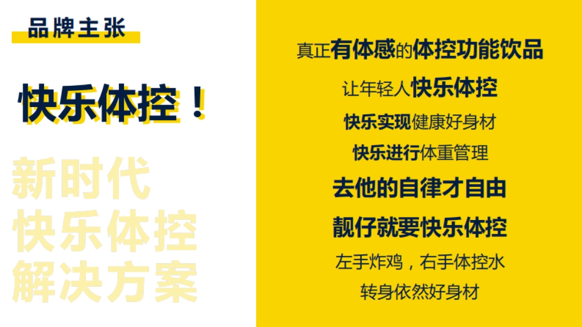 乐体控-体控产品全案brief_第10页