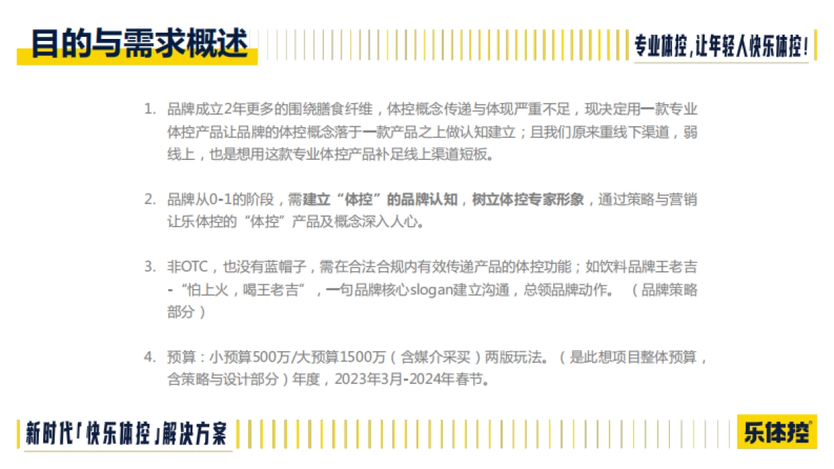 乐体控-体控产品全案brief_第5页