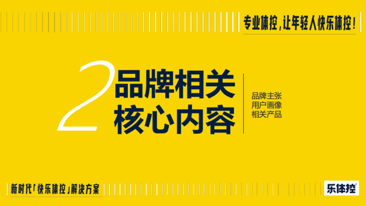 乐体控-体控产品全案brief_第9页