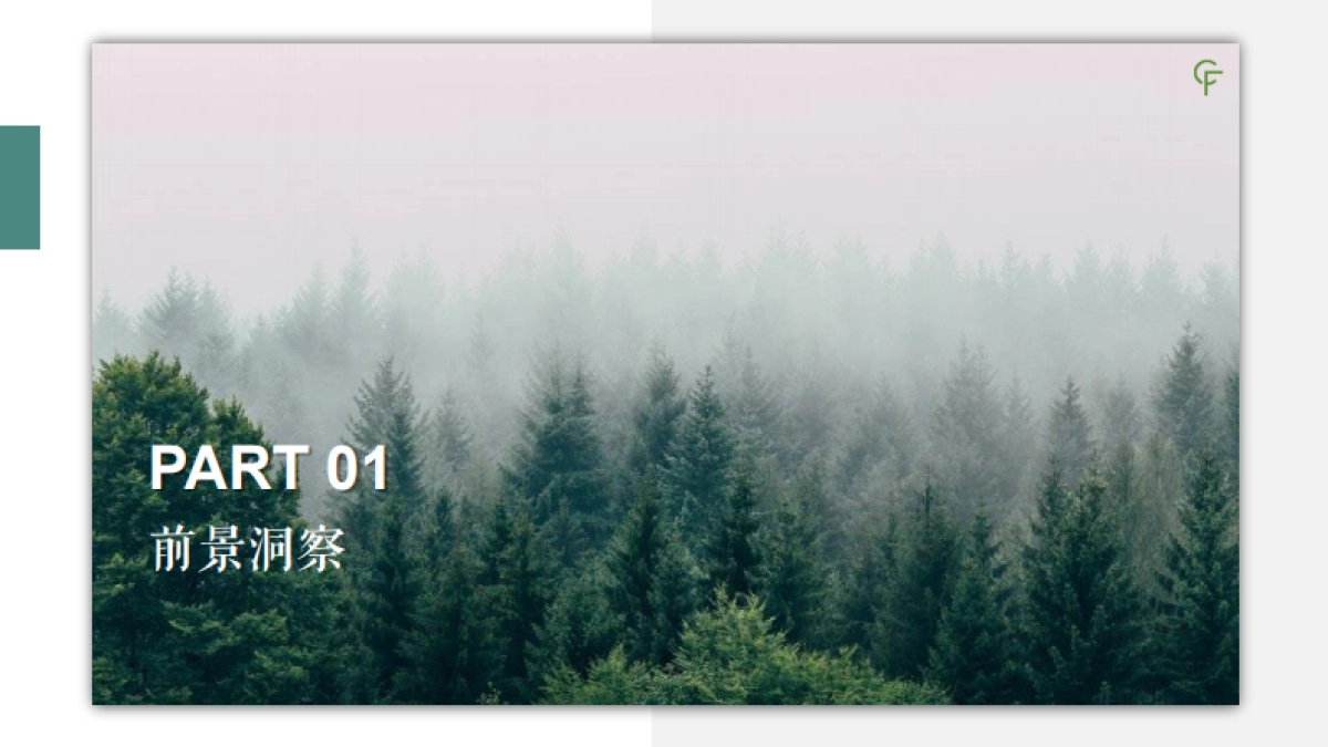 秘密森林种草案_第3页