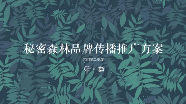 秘密森林种草案