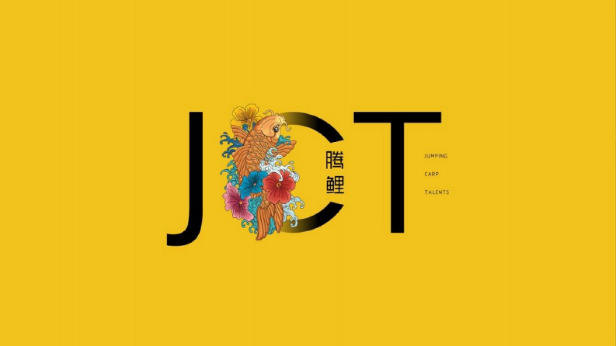 世茂抖音新媒体推广方案_第1页