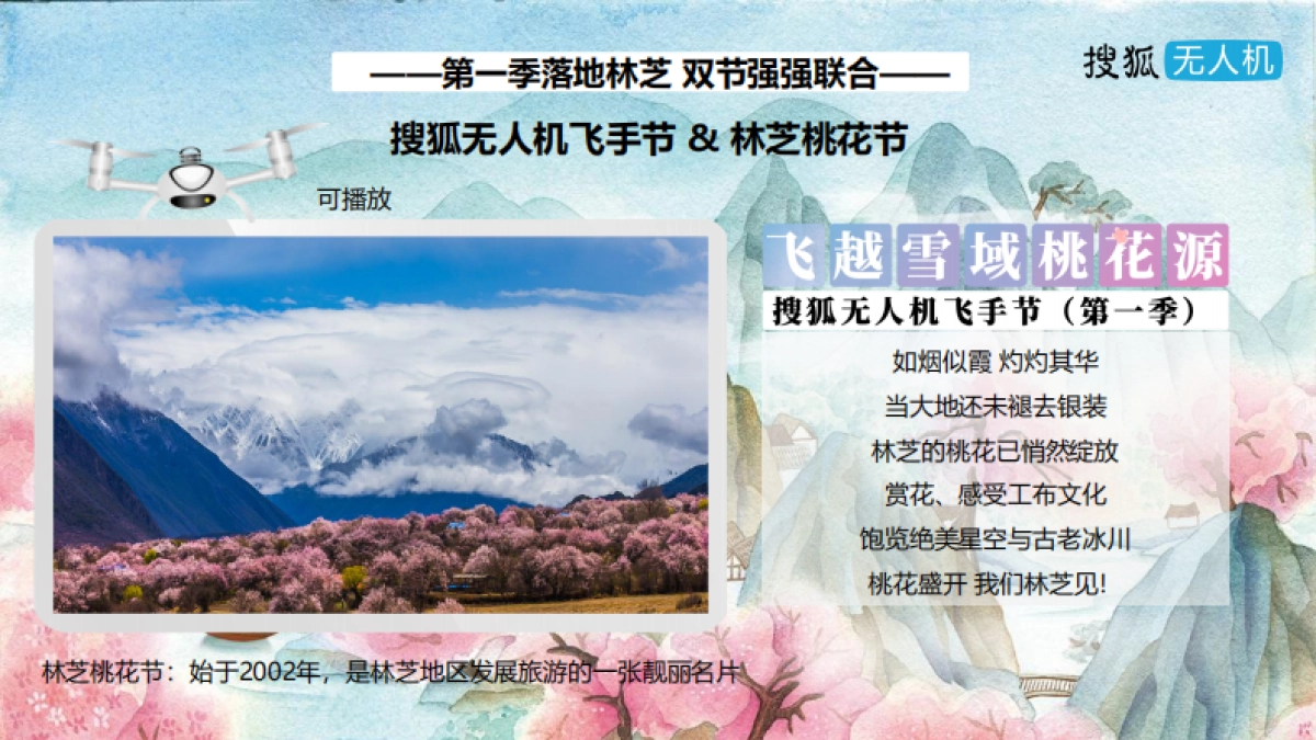 搜狐无人机飞手节营销方案_第10页