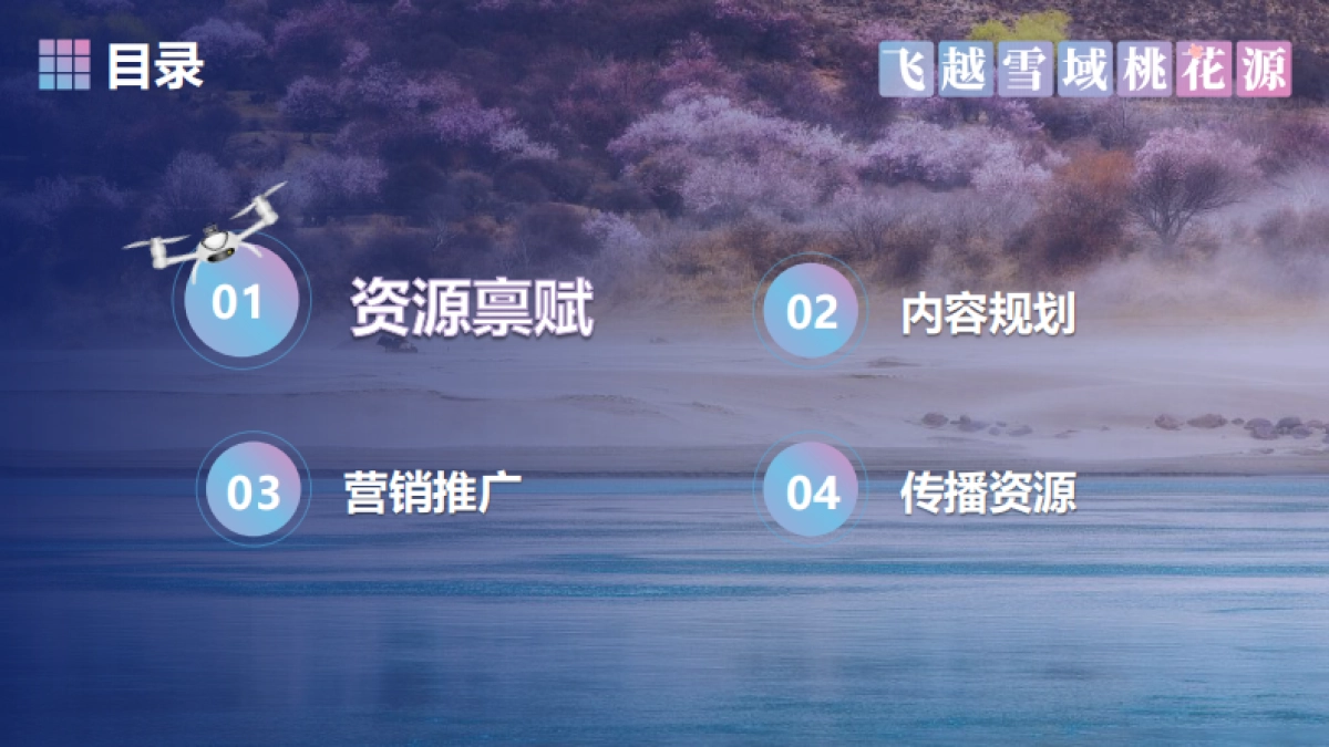 搜狐无人机飞手节营销方案_第2页