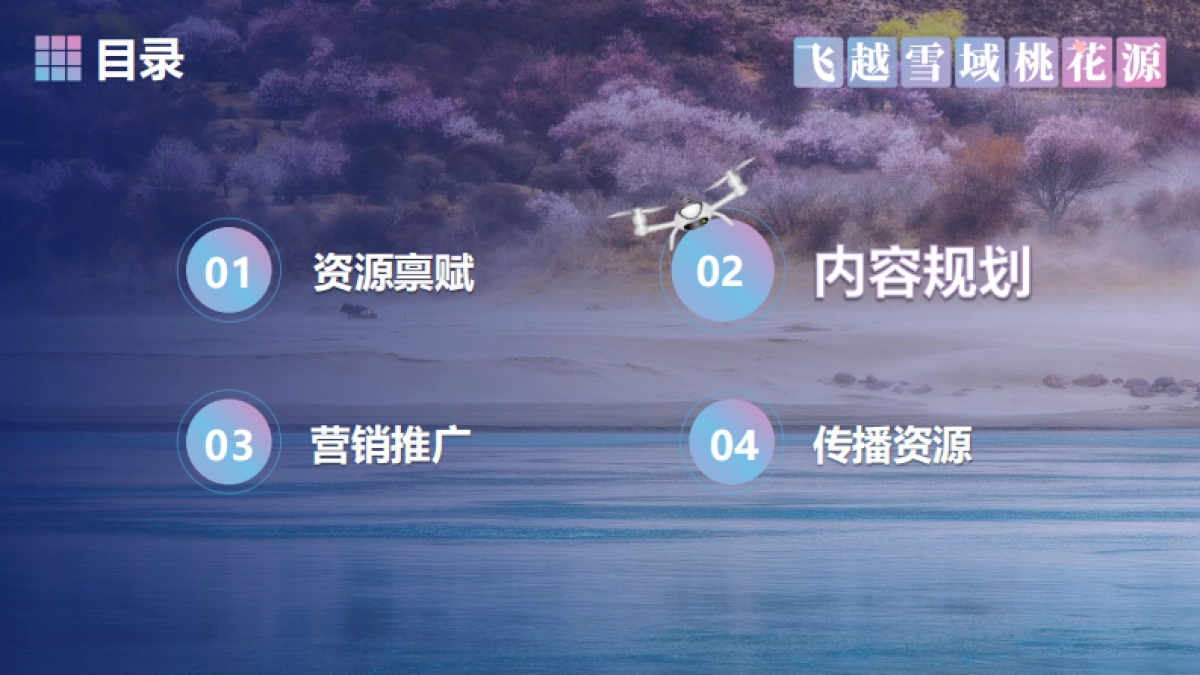 搜狐无人机飞手节营销方案_第9页