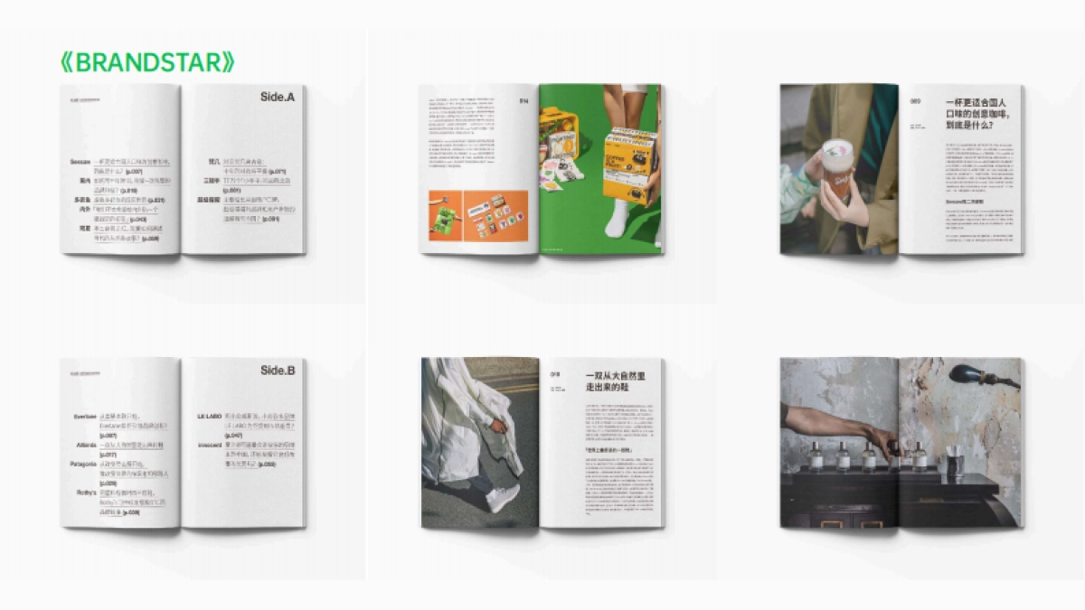 星球大会2022合作通版方案_第10页