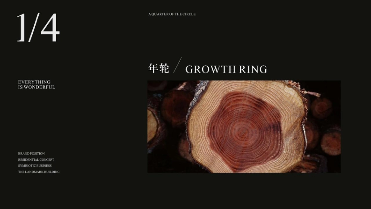 中港双城记战略发布会视觉方案_第9页