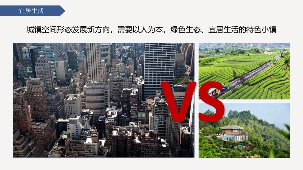 2020红茶小镇运营策划提案_第10页