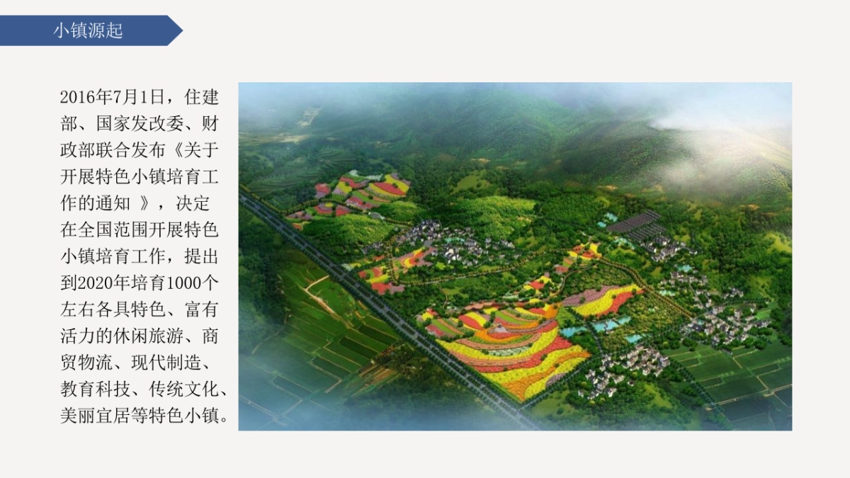 2020红茶小镇运营策划提案_第4页