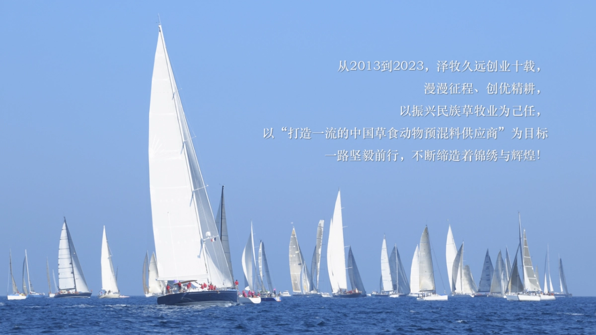 牧业企业十周年庆策划方案_第3页