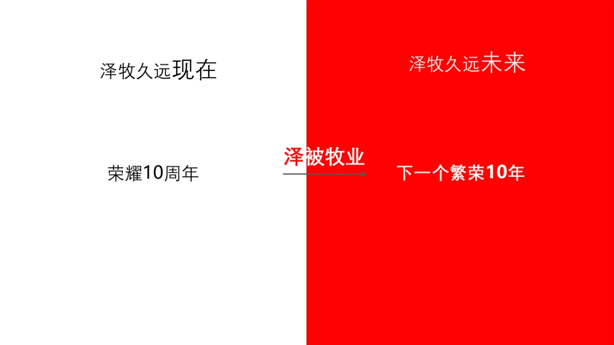 牧业企业十周年庆策划方案_第4页