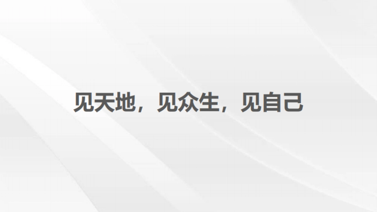 2022别墅项目整合推广方案_第2页