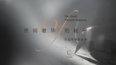 2022凤起听澜豪宅故事线推广策略方案