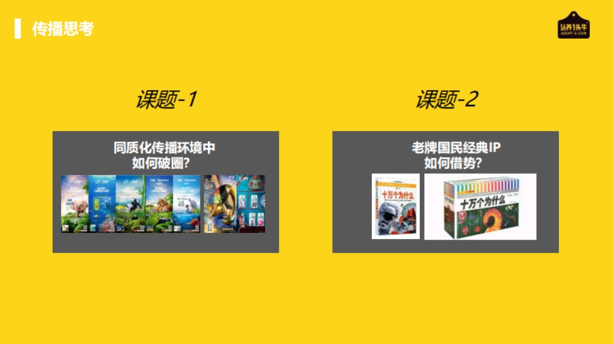 2022年认养一头牛品牌跨界方案_第3页
