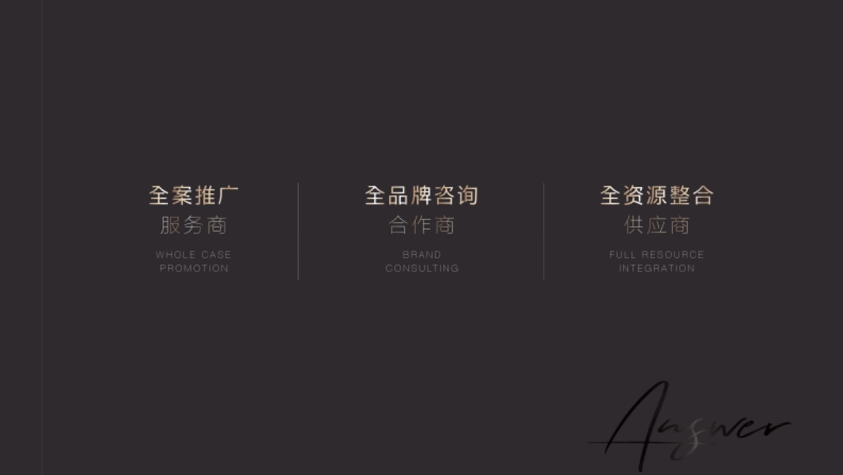 2022宁波大唐久云府推广策略方案_第2页