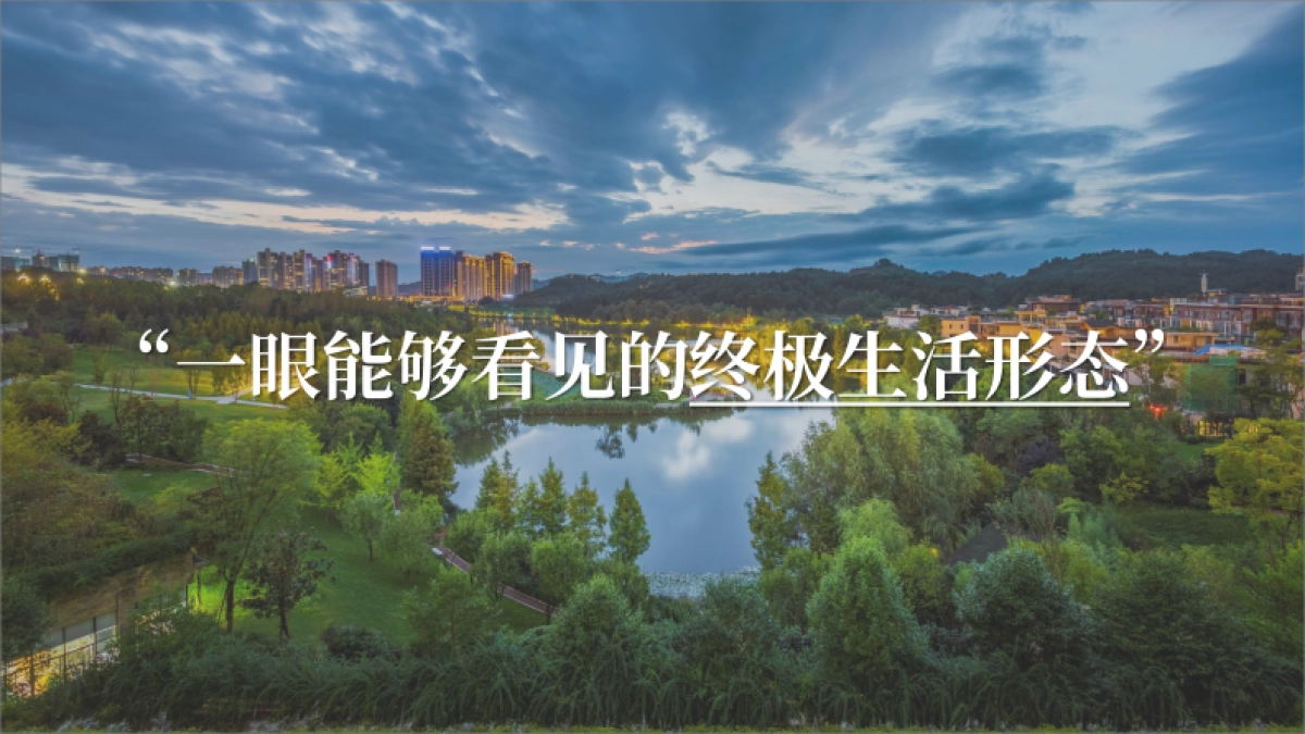 2022山湖项目推广策略方案_第6页