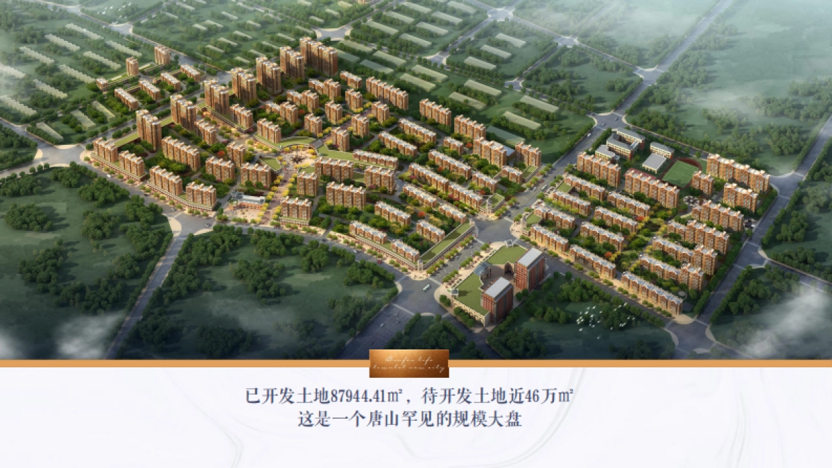 2022小镇项目全案销售代理营销竞标方案_第2页