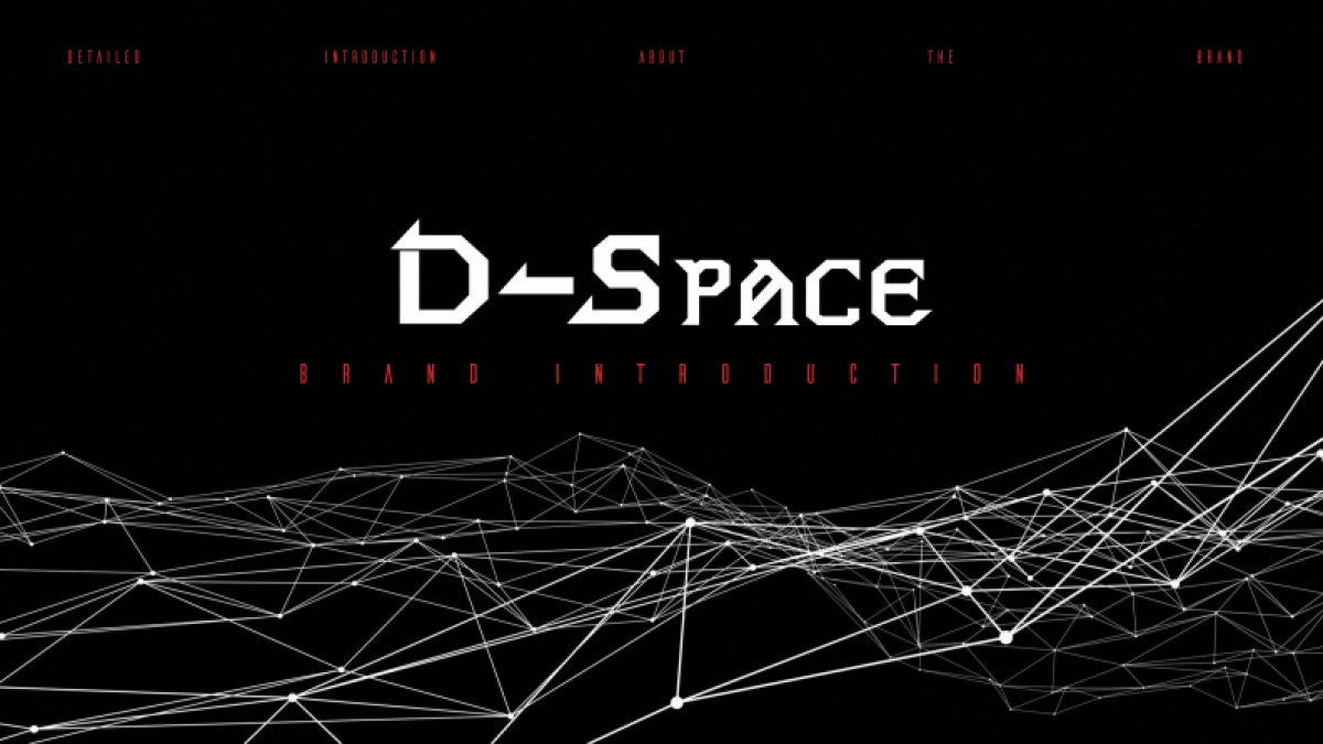 D-SPACE次元空间休闲鞋品牌全案_第1页