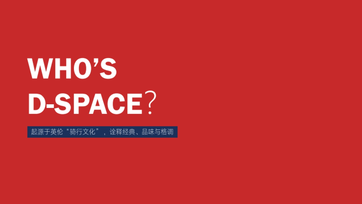 D-SPACE次元空间休闲鞋品牌全案_第5页