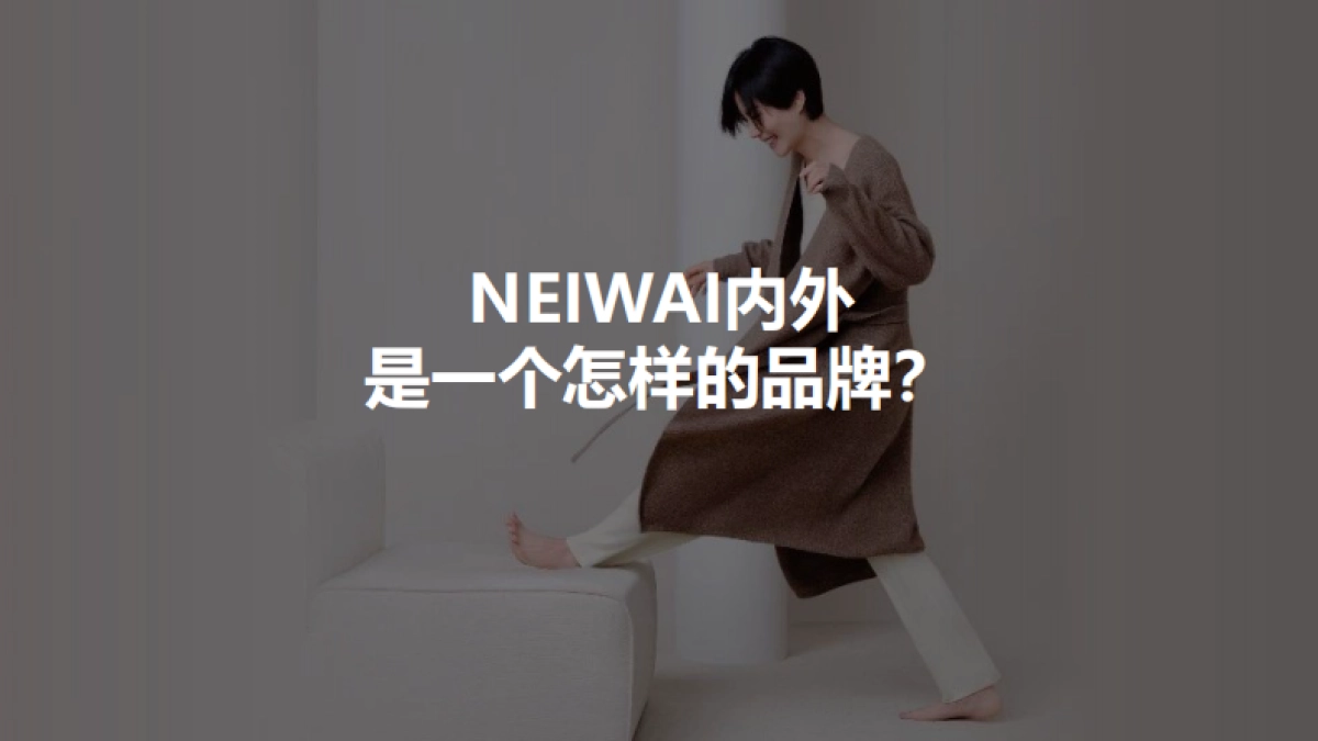 NEIWAI内外品牌研究_第4页