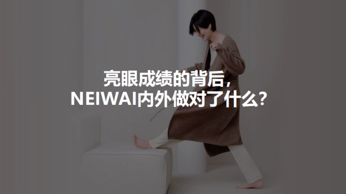 NEIWAI内外品牌研究_第9页