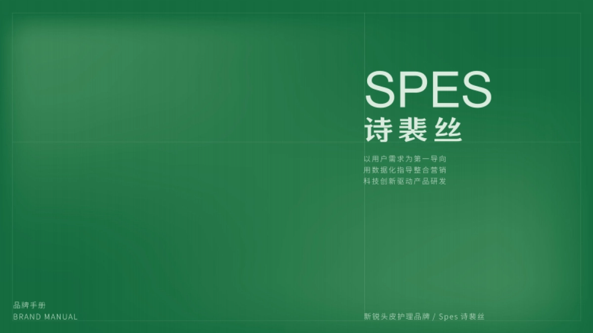 Spes品牌手册_第1页