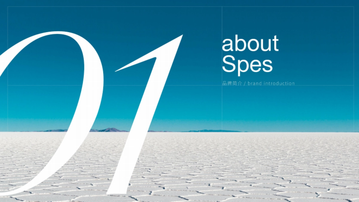 Spes品牌手册_第2页