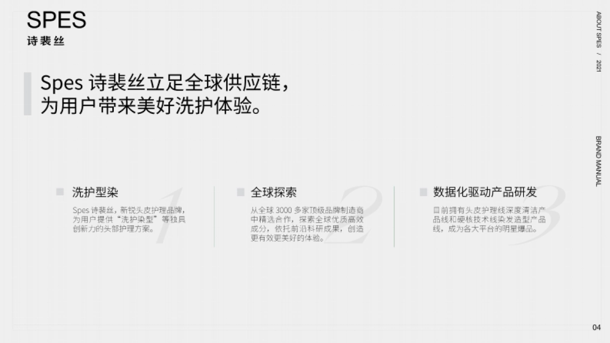 Spes品牌手册_第3页