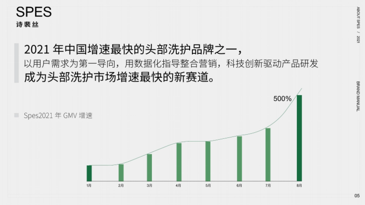 Spes品牌手册_第4页