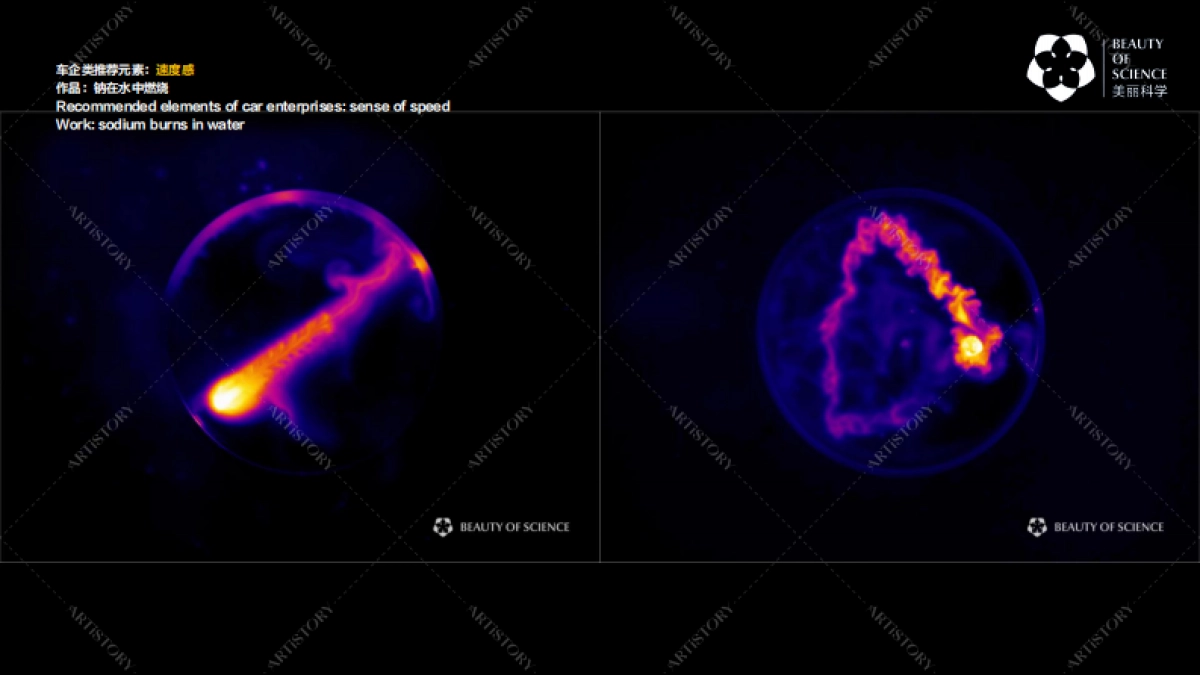 北京艺述事-美丽科学IP介绍_第8页