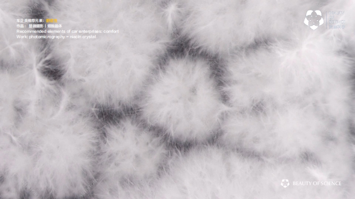 北京艺述事-美丽科学IP介绍_第9页