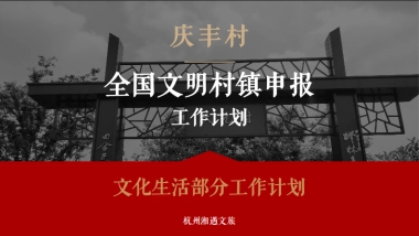 文旅庆丰村全国文明村镇申报工作计划