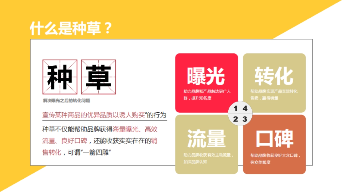 小红书单品种草案_第2页