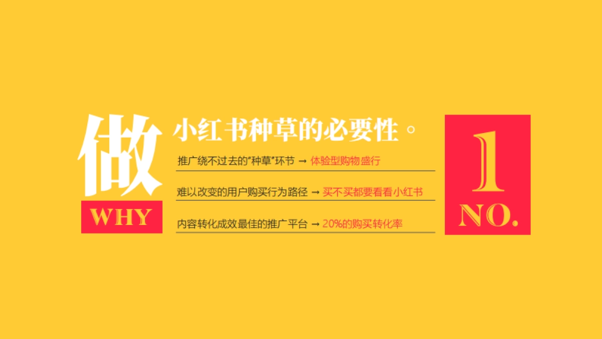 小红书单品种草案_第3页