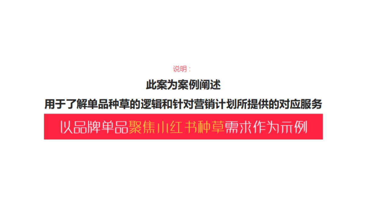 小红书单品种草案_第4页