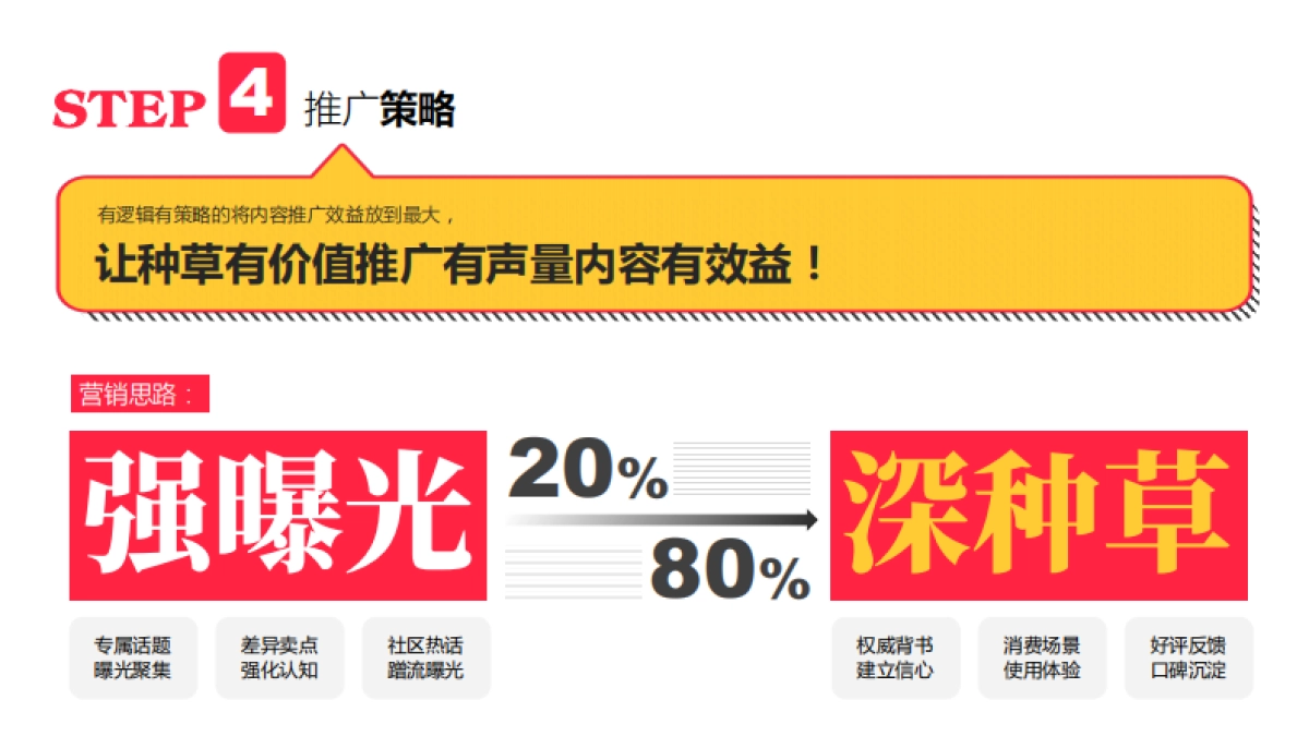 小红书单品种草案_第9页