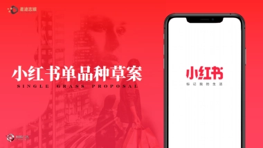 小红书单品种草案