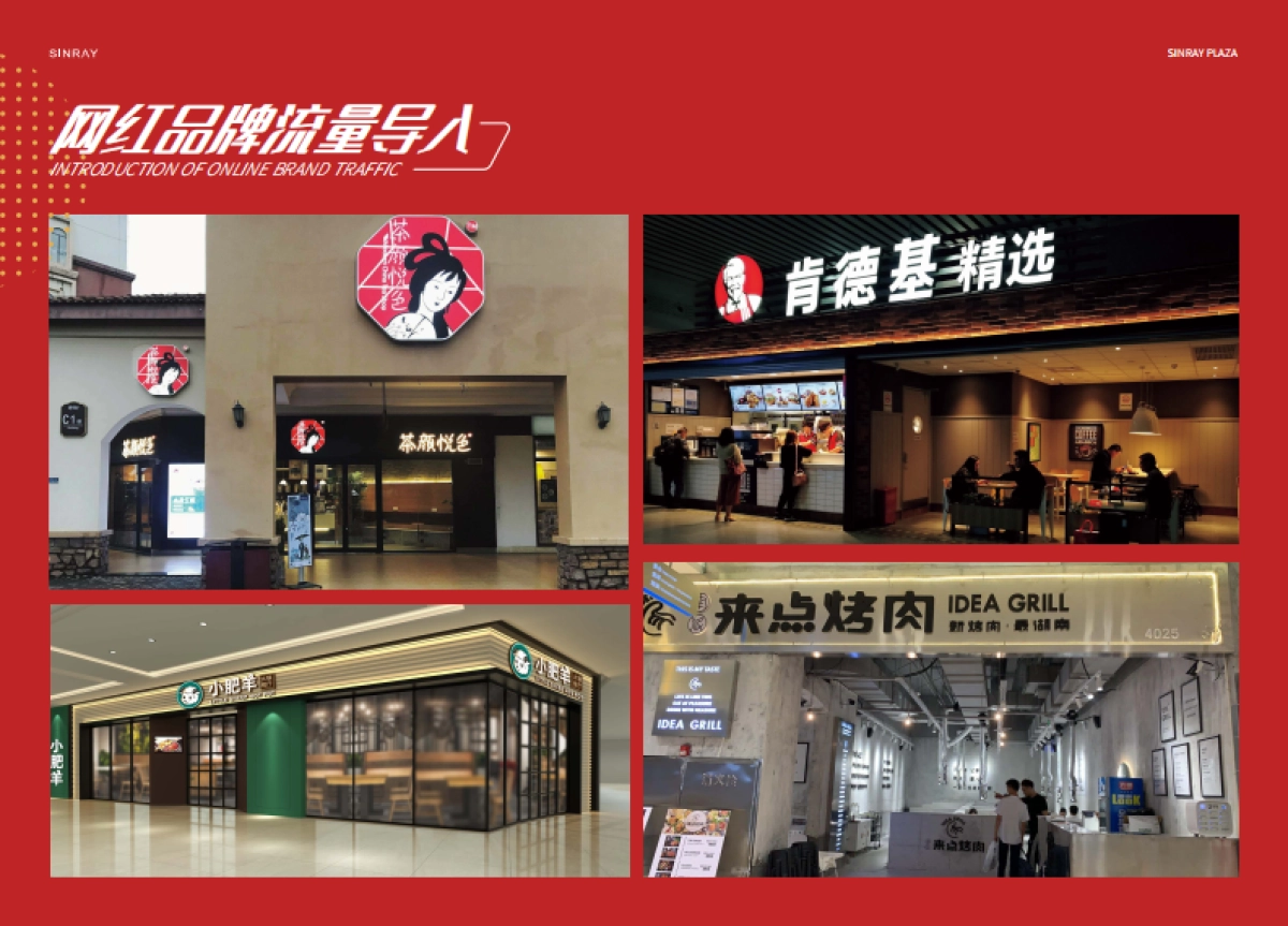 星悦广场国潮街区项目介绍规划_第6页