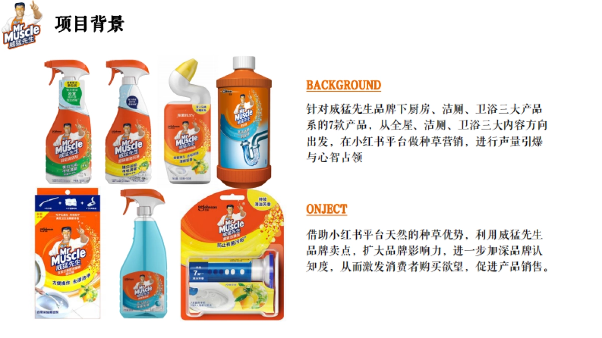 威猛先生小红书投放结案报告_第4页