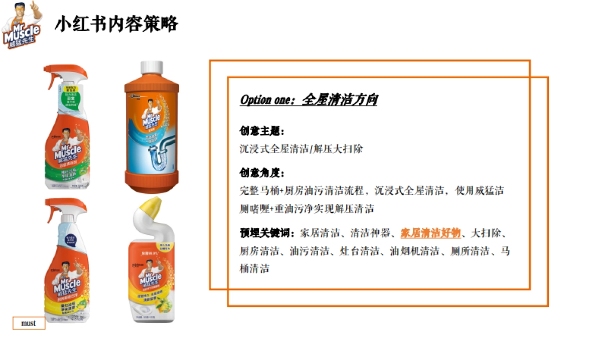 威猛先生小红书投放结案报告_第6页