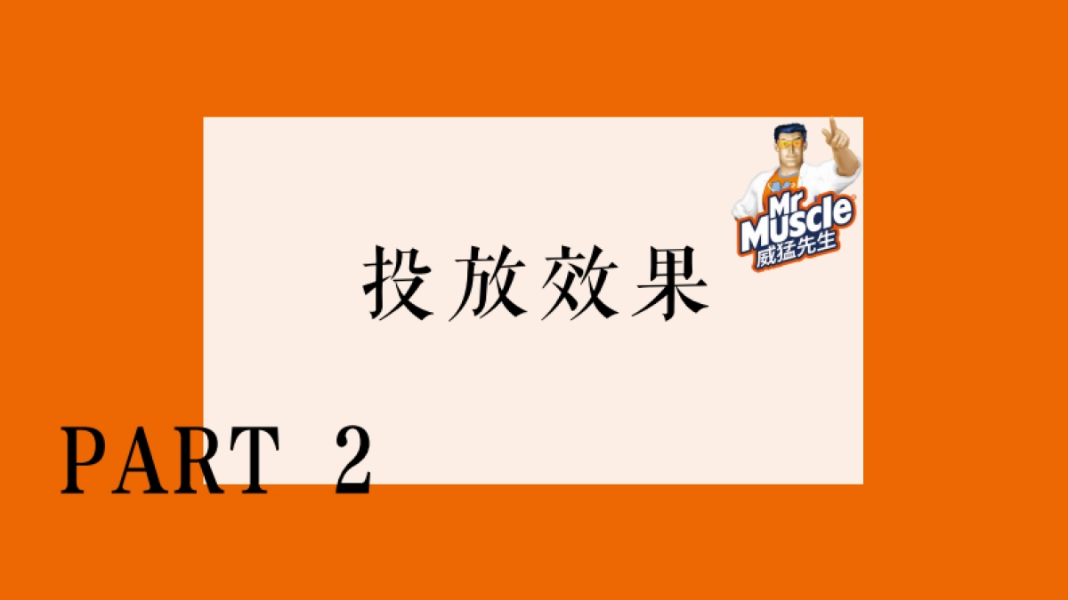 威猛先生小红书投放结案报告_第9页
