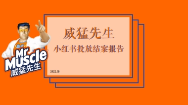 威猛先生小红书投放结案报告